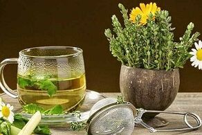 Zioła terapeutyczne w leczeniu żylaków
